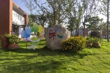 天府新区华阳小学：校园那么美，萌娃来打卡