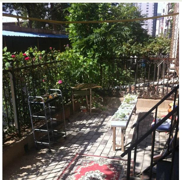 鑺辨埧濮戝澶氳倝閰嶅湡,鑺辨埧濮戝鐜夐湶澶氳倝