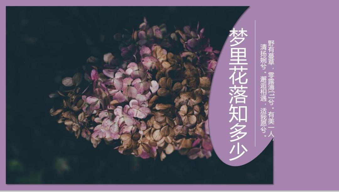 90后00后最值得看的书,90后看过的经典书