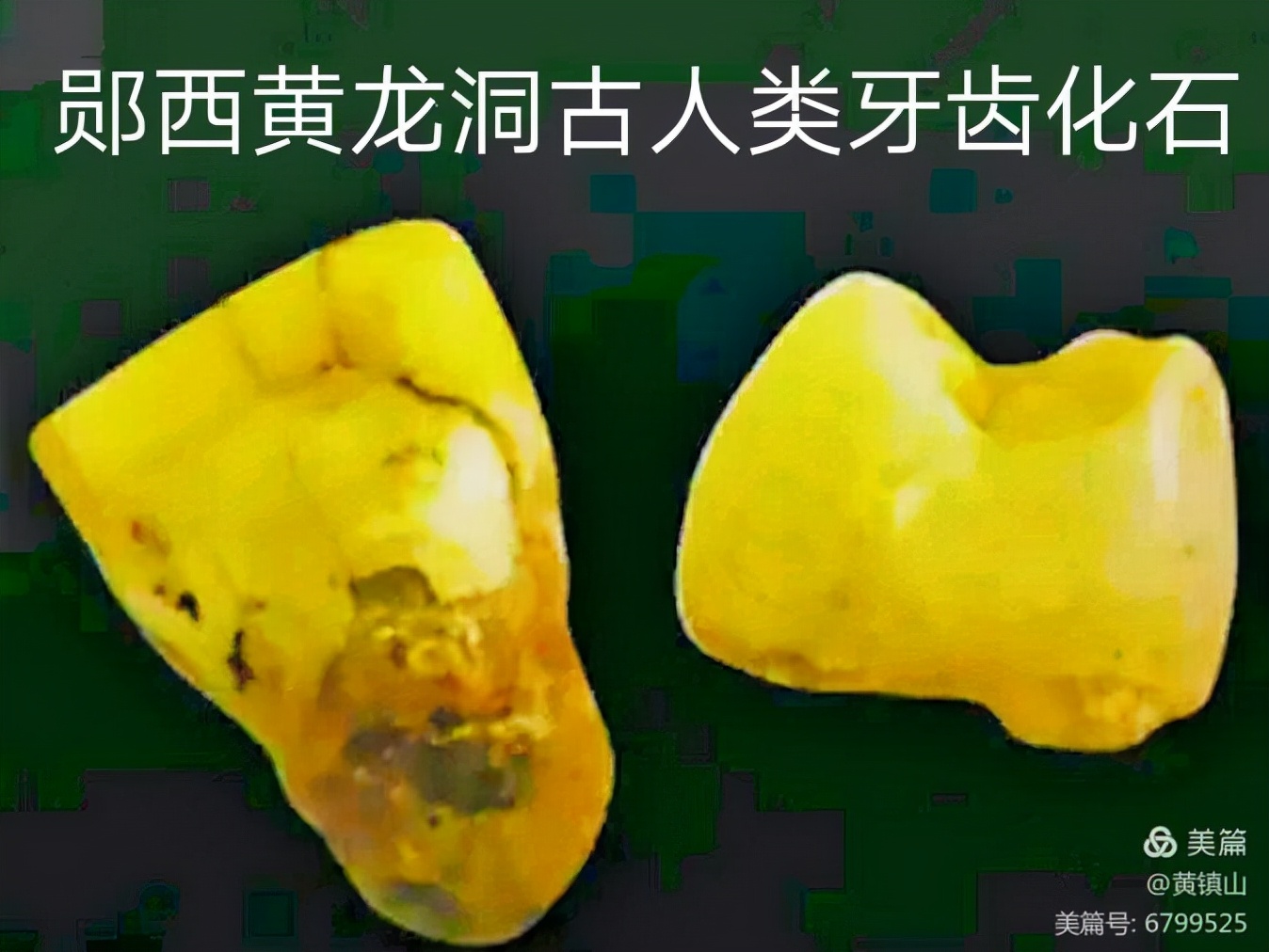 *镇黄**山：汉水考古惊天下