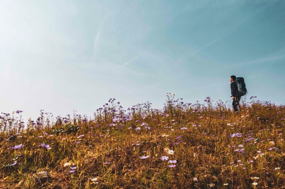 多特湖水蓝背包,deuter背包橄榄绿