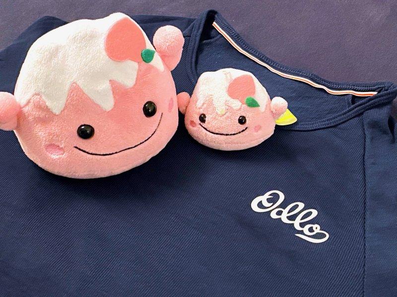 登上非洲之巅乞力马扎罗山，瑞士Odlo奥递乐保暖内衣实测