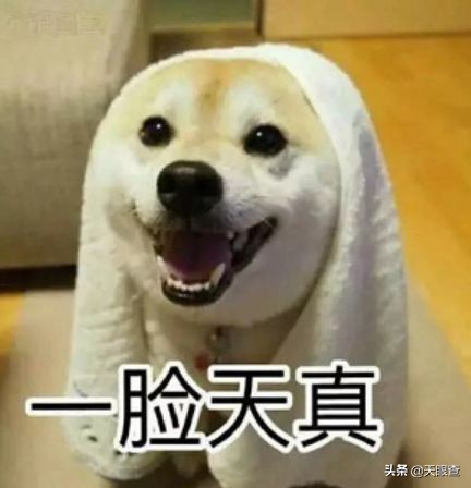 双11京东和天猫的较量,双11阿里与京东