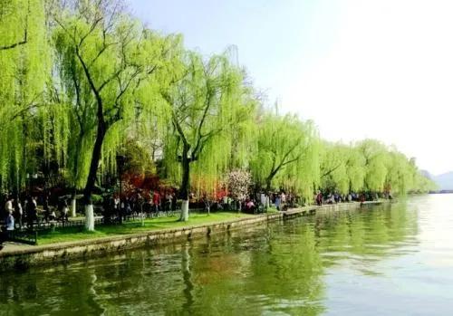 七绝西湖十景诗,七律原创诗词写景