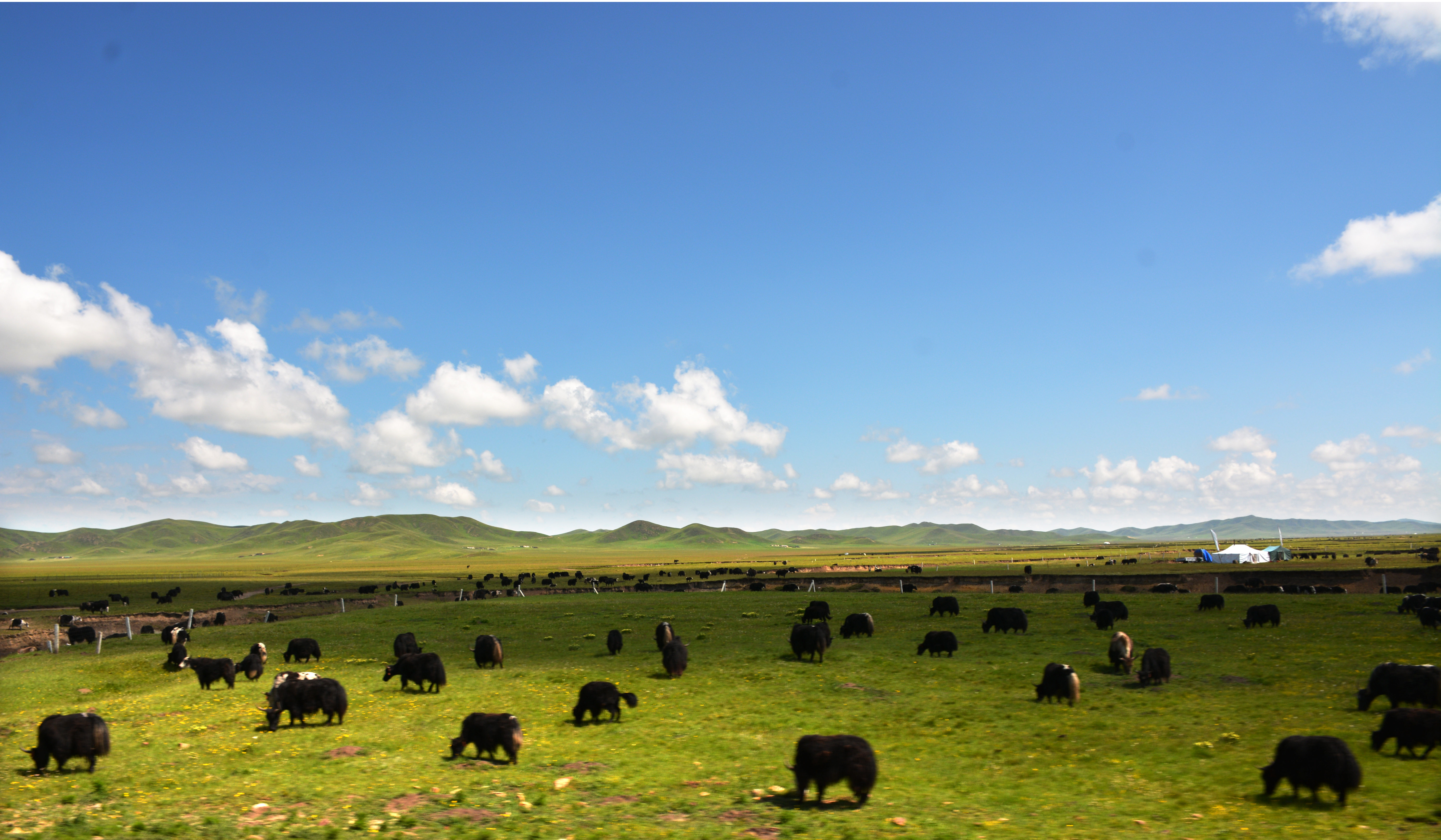 暂离城市的喧嚣，来拥抱若尔盖大草原，湖在天上，天在湖中