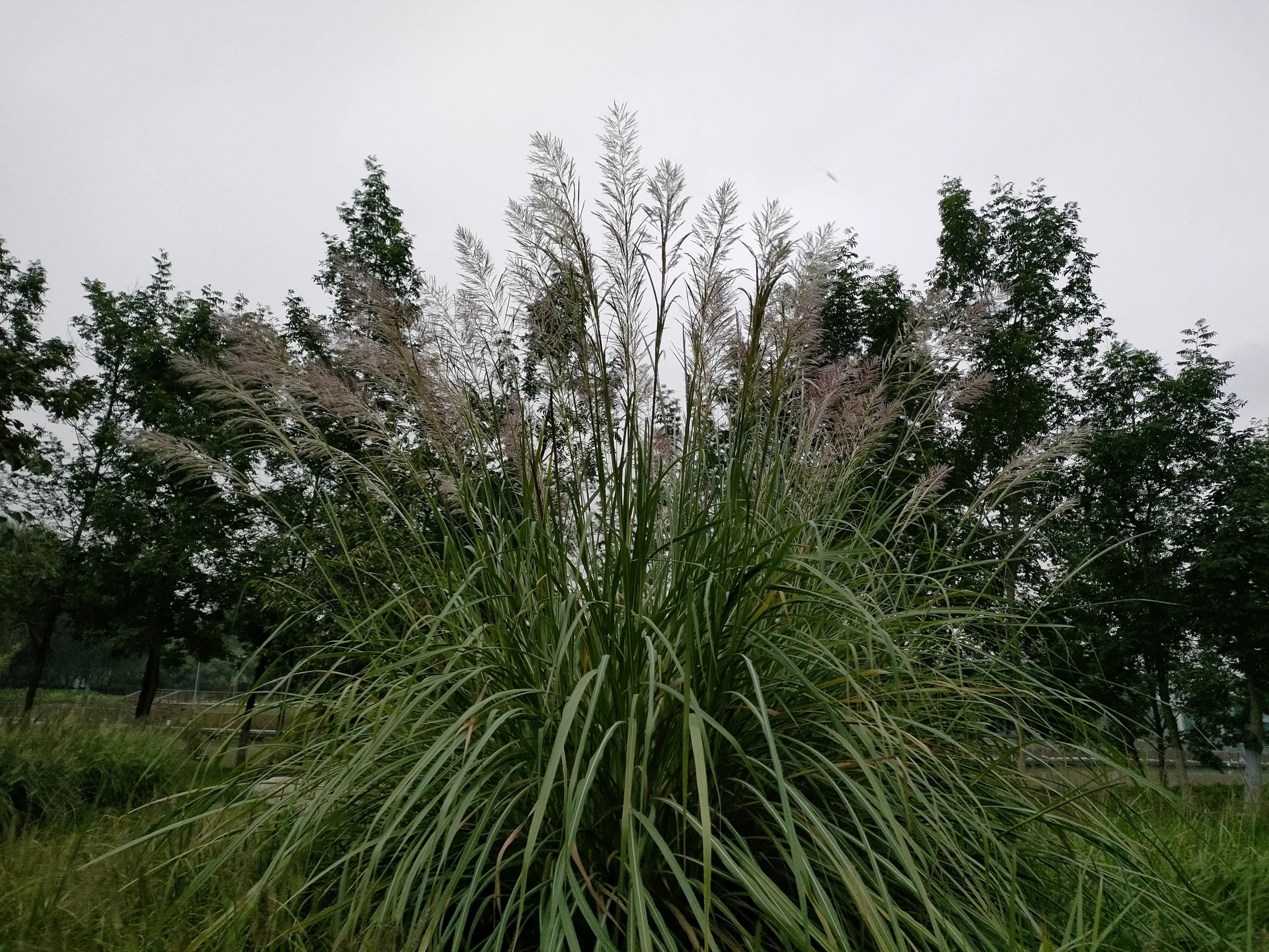 游西安曲江海洋极地公园,国庆去西安海洋极地公园