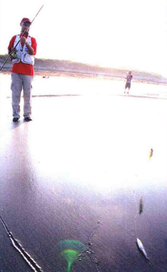 「日本专业海钓入门投钓书籍」新手入门投钓钓点海滨沙滩