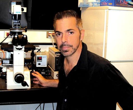 人造精子可以解决的问题,人造精子