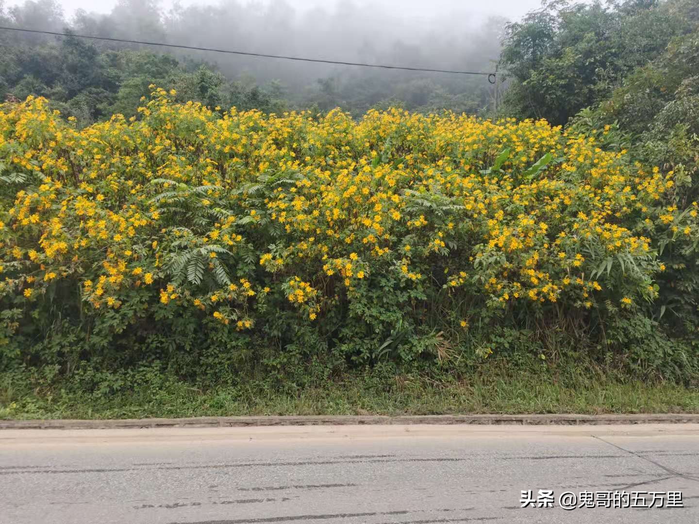 鬼哥的五万里D100骑记:100天了(永平镇-临沧市临翔区)