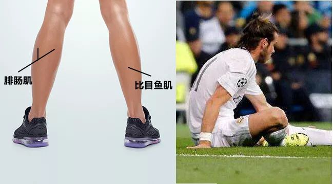 健身房锻炼中小腿肌肉拉伤,小腿韧带拉伤康复训练