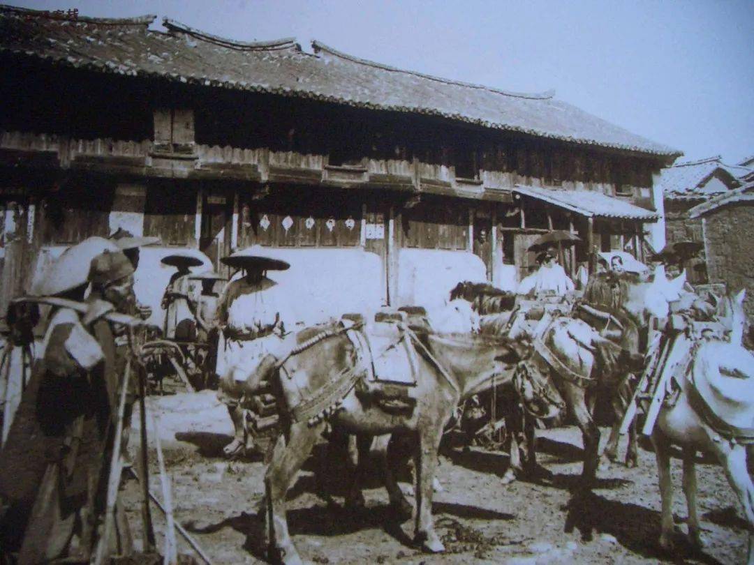 悲壮且辉煌的四川茶简史