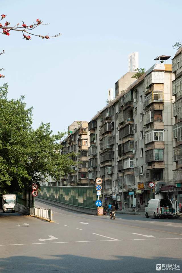 罗湖区莲塘有什么好玩的,罗湖莲塘风景