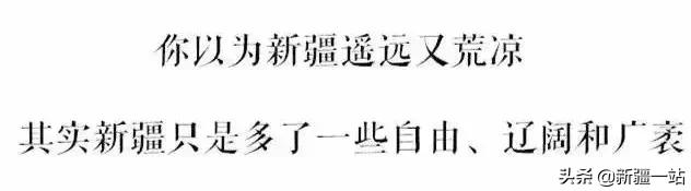 新疆十八怪讲解,新疆十八怪全集电影