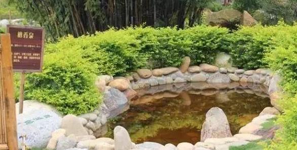 惠州怡情谷温泉住宿价格,惠州怡情谷温泉酒店包吃住