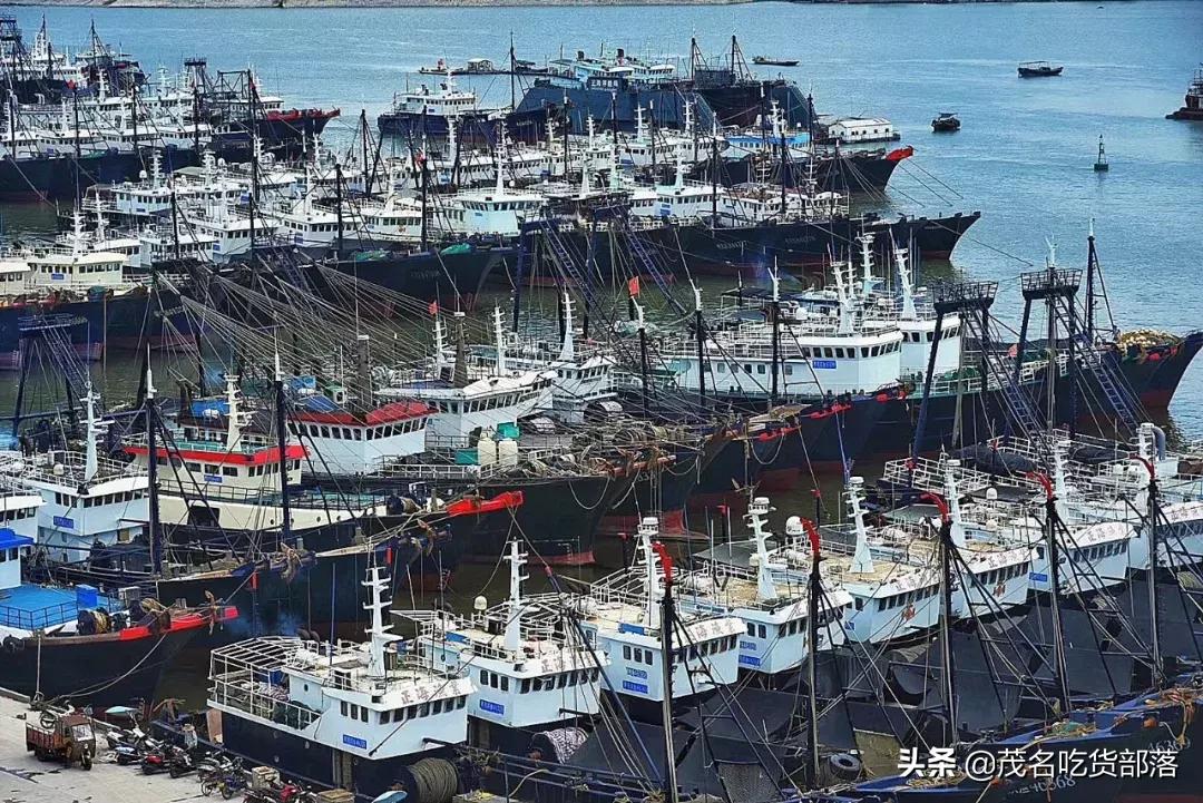 茂名这座城市被誉为什么城,茂名是一座怎样的城市