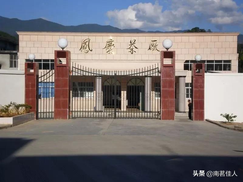 滇红茶的工艺视频,滇红茶工艺晒红