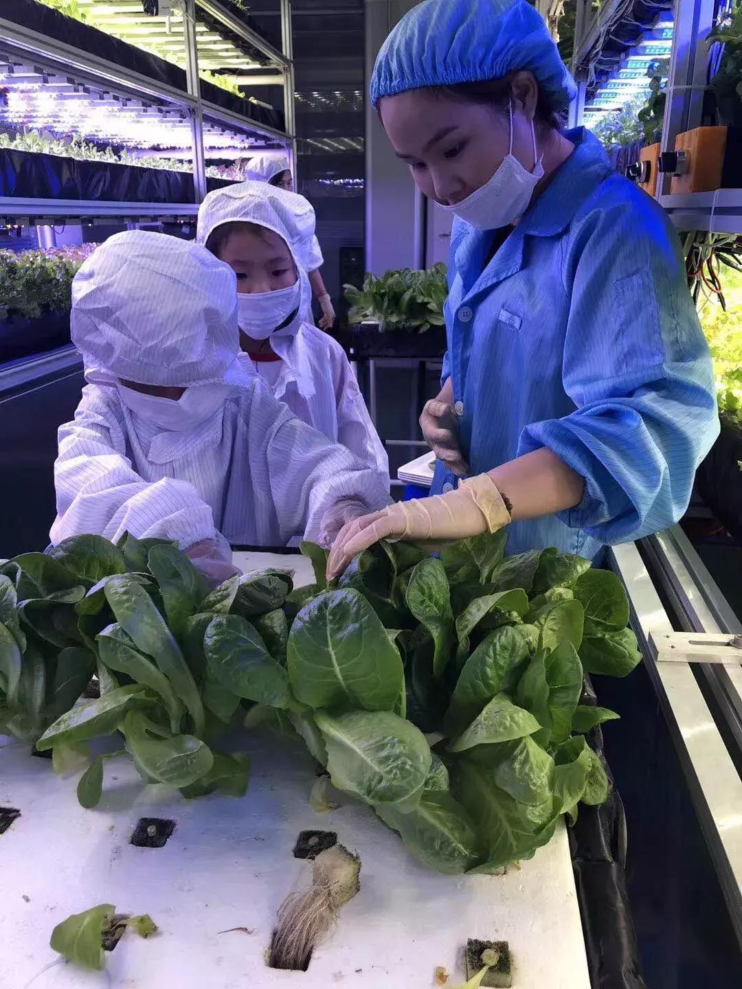 深圳「废弃染布厂」变废为宝，化身“湖畔花园”美若世外桃源！