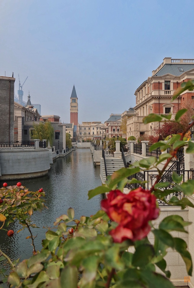 不能飞去巴黎伦敦,不如到大连喂鸽子,赏海景吃海鲜