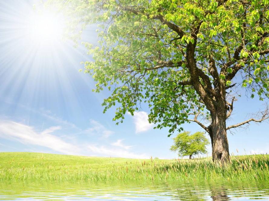 室内返潮怎么有效解决？3个紧急解决办法，让你远离潮湿更健康