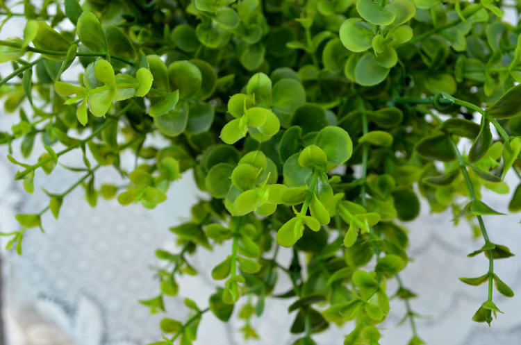 金钱叶仿真绿植金色尤加利叶,绿植尤加利叶子发黄