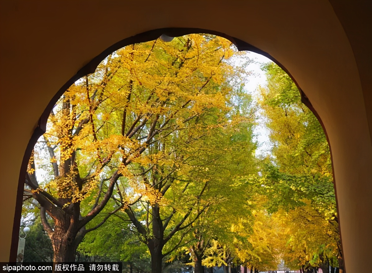 打卡北京十大古迹,打卡北京100个景点