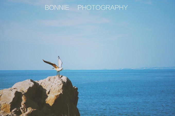 嵊泗列岛三天三夜自由行攻略 (嵊泗本岛三天两夜自由行攻略住宿)