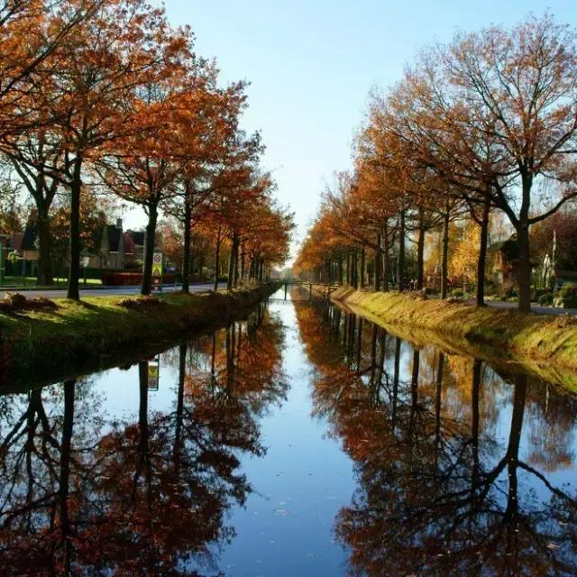 秋天落叶一拍都是一幅画,秋天的景色美得好像一幅画