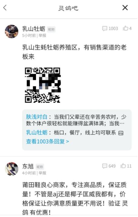 在违法的边缘反复横跳！王欣来了，带着灵鸽AI来了