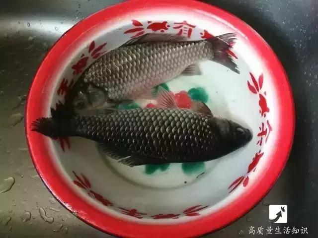 「生活妙招」今天教大家这几招，去除鱼鳞简直太容易了