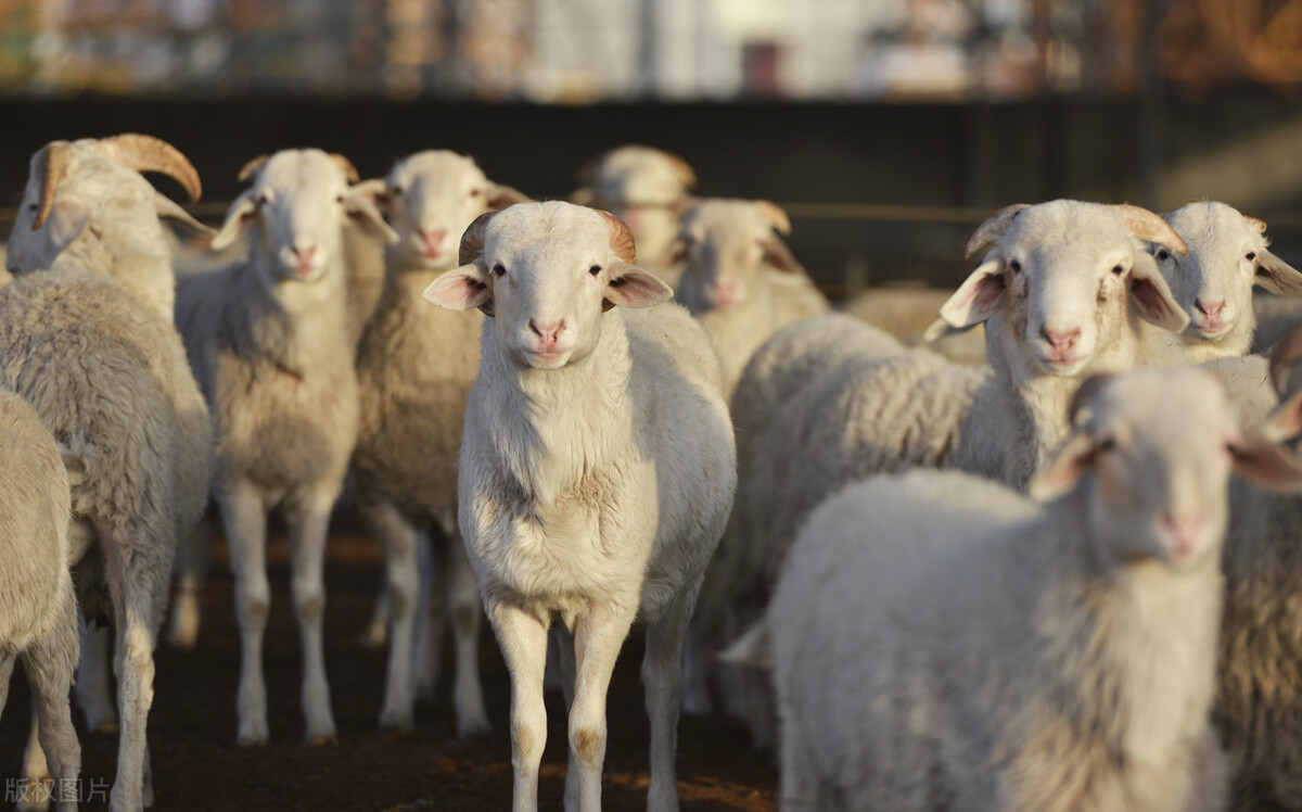 2024年连云港市重大产业项目清单,连云港2024年528重大项目名单