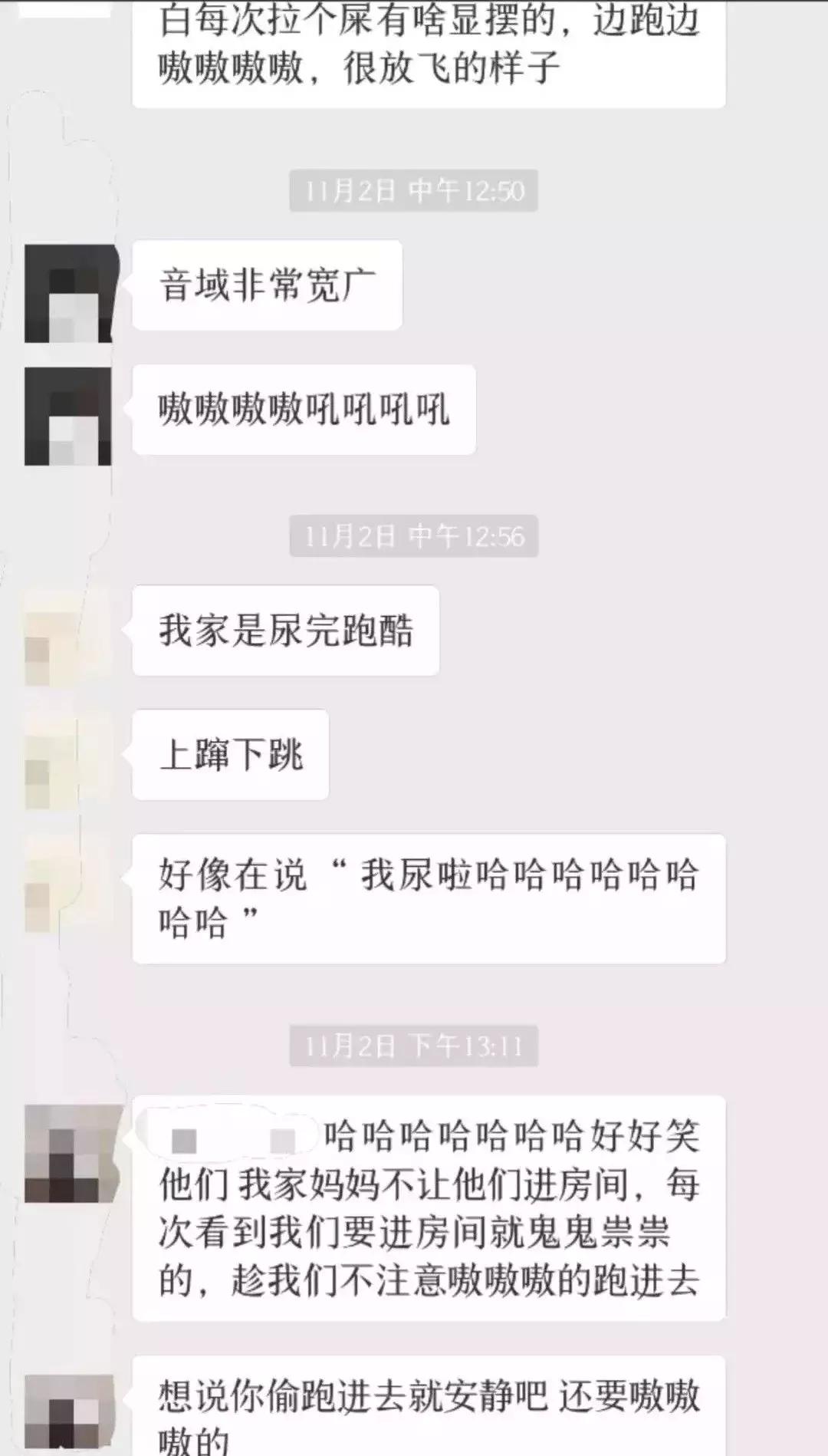 如何判断家里的猫是不是智障,猫咪弱智