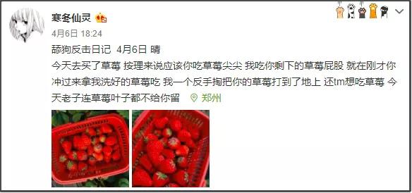 以前我没得选只想做个好人表情包,以前我没得选现在只想做一个好人