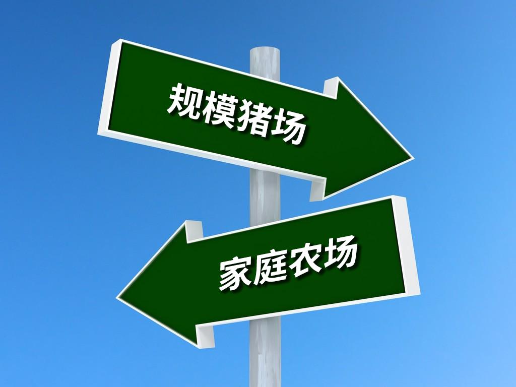 大北农2亿头猪,大北农联合发展2亿头猪工程启动