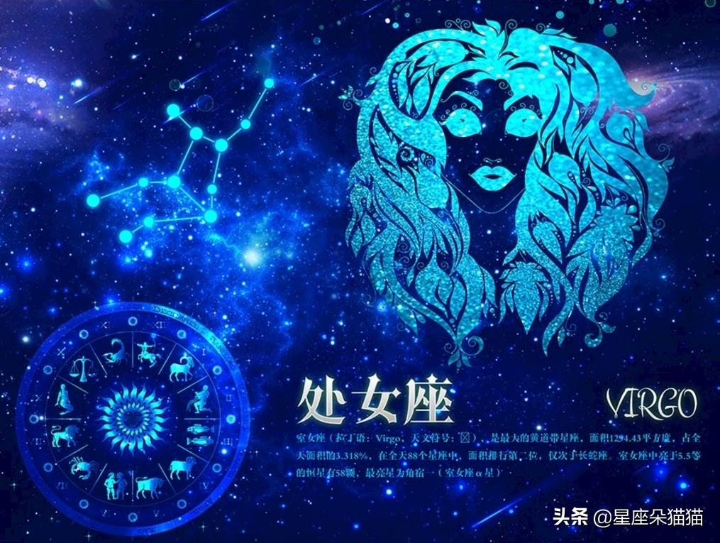 唯一能看透处女座男生的星座,12星座处女座男生有多厉害