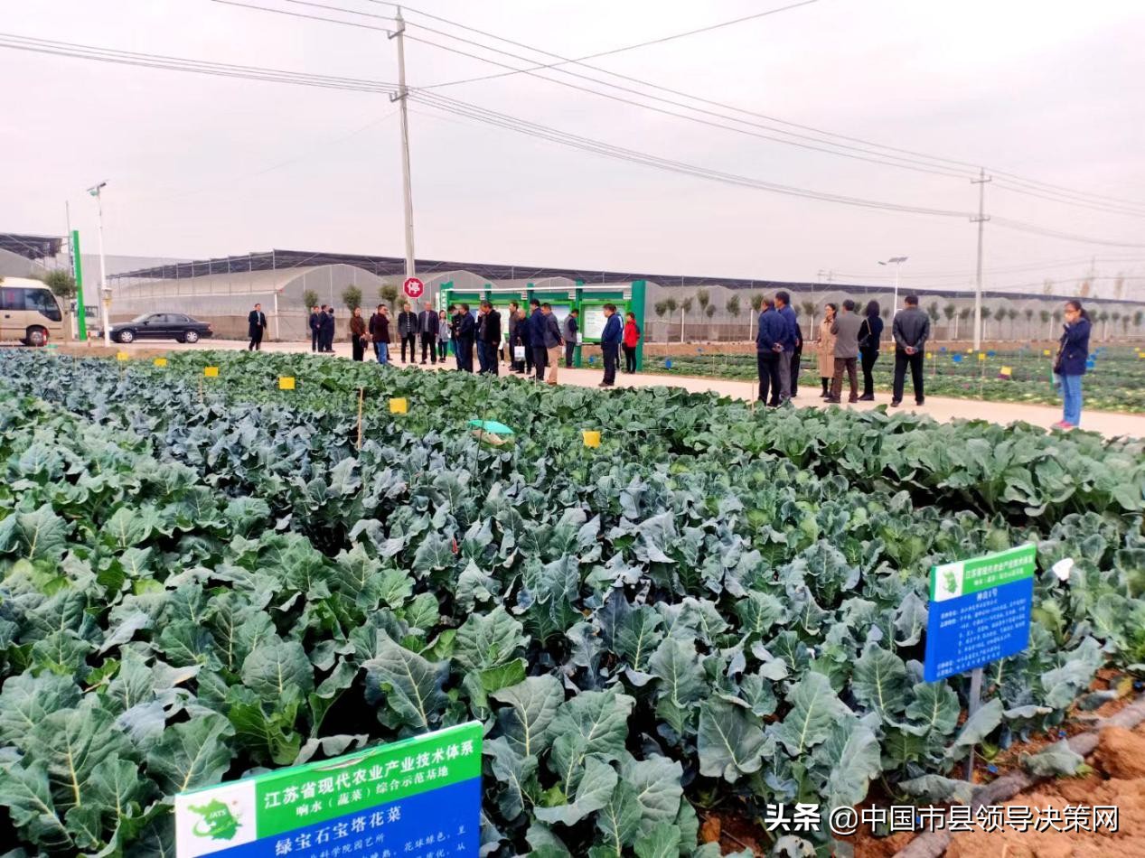 长三角(响水)西兰花产业研究院签约揭牌仪式在响水县举行