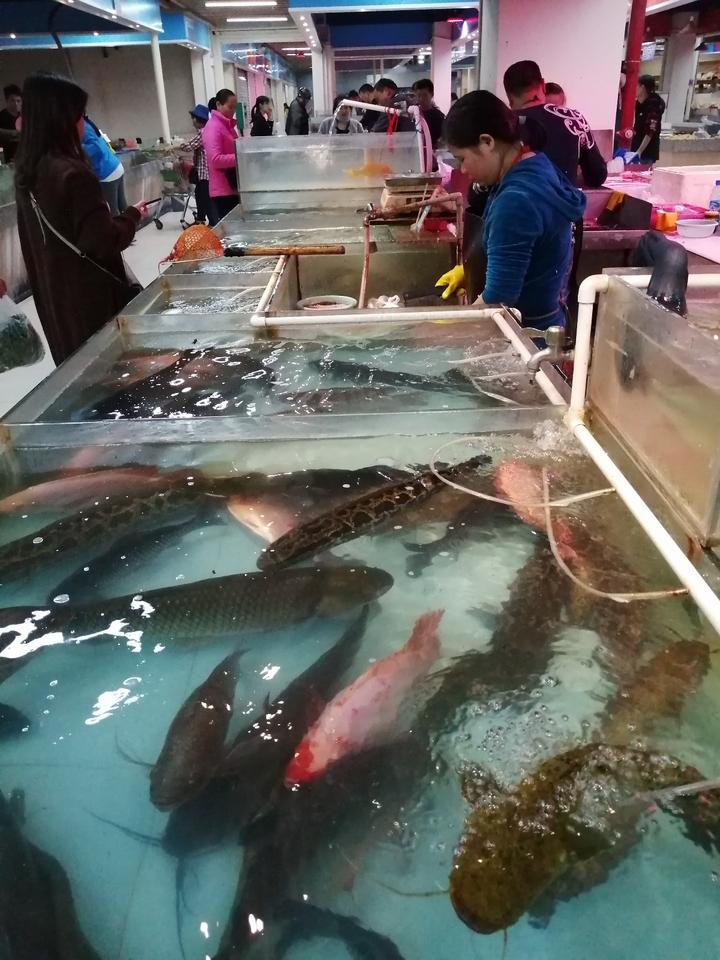 洞口城南农贸市场,洞口高沙农贸市场