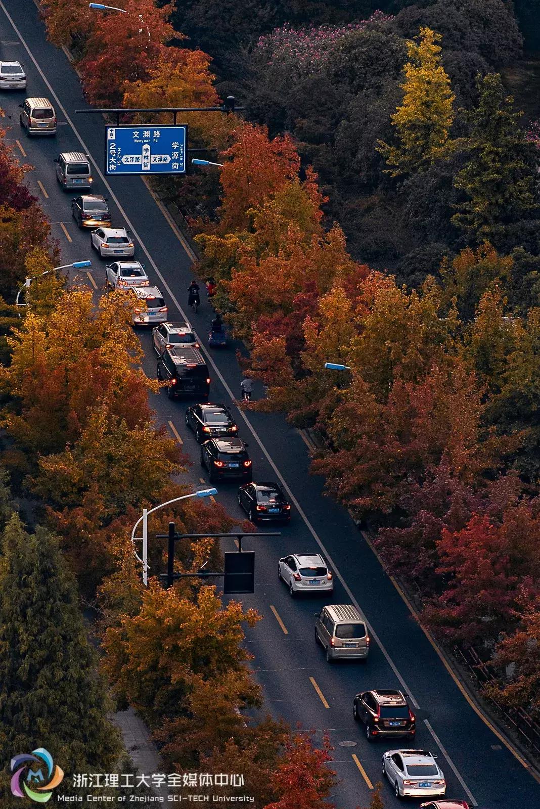 新浙理人|初识浙江理工大学,在这儿学习生活的一天是怎样的?