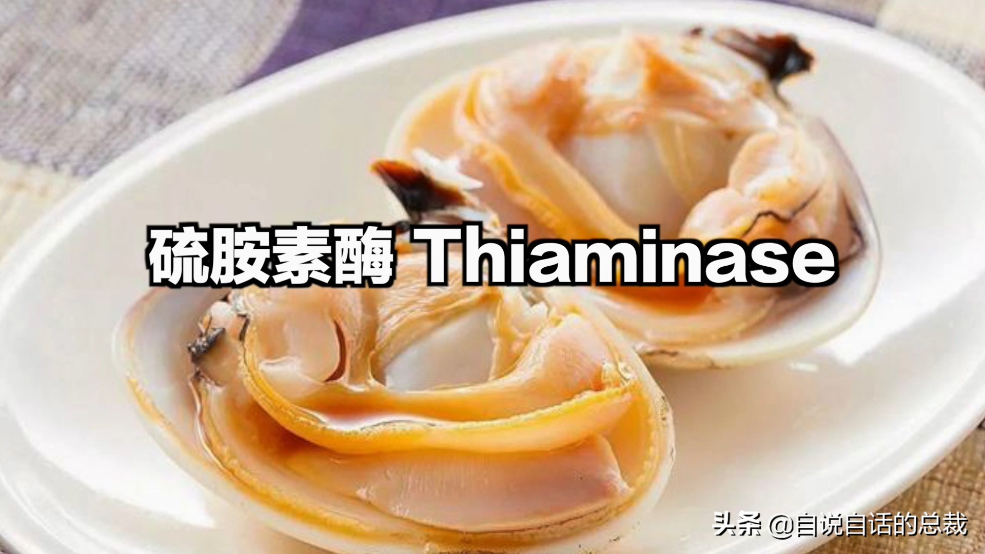 蚬蚌蛏的区别是什么,蚶子蛤蜊蚬子区别