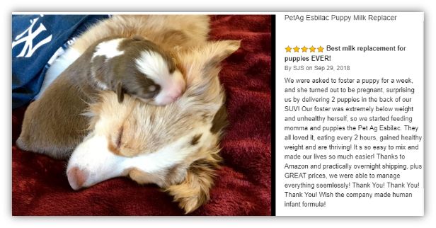 谁在证明PetAg美国倍酷奶粉的强大口碑？来自全球用户的真实反馈