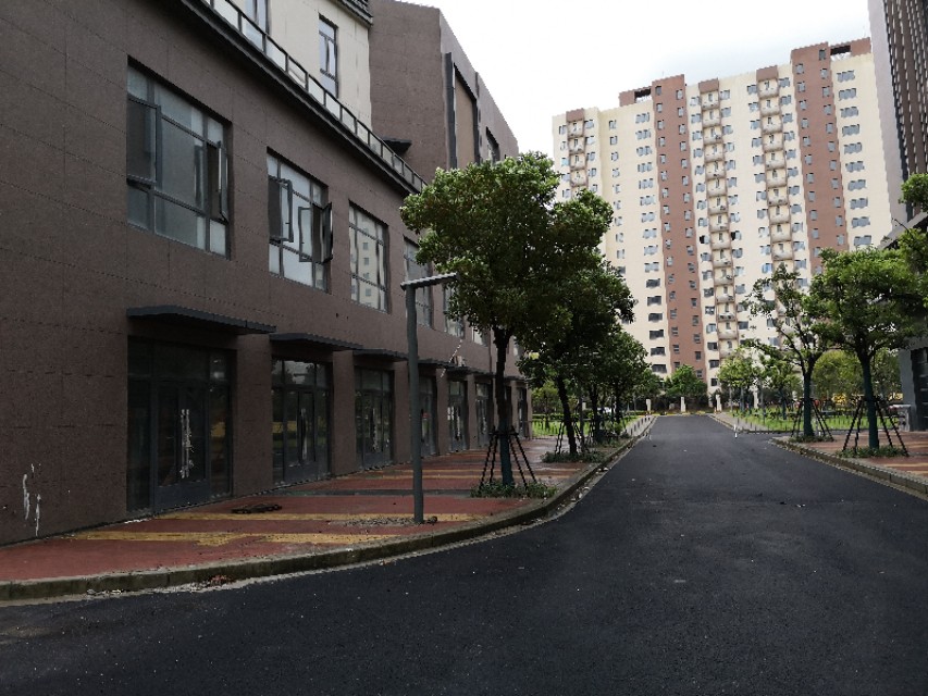 上海临港新片区万祥东来建设,临港新片区万祥