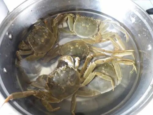 蒸大闸蟹漏黄是怎么回事,蒸大闸蟹不掉脚的方法
