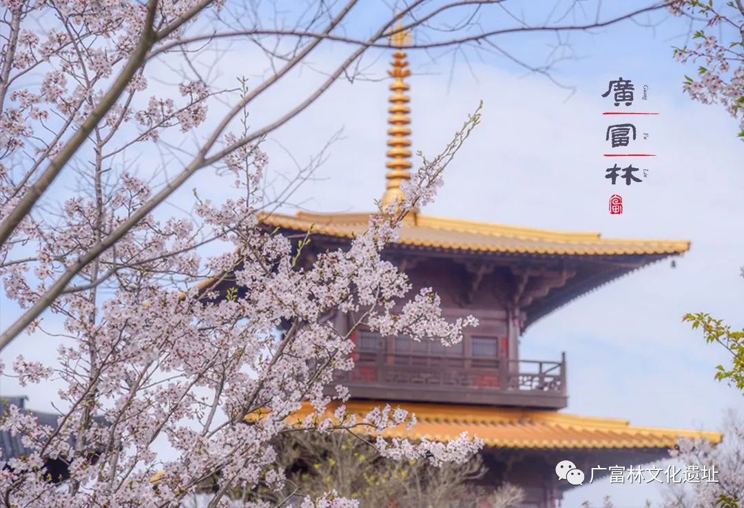 松江区夏日游玩攻略,松江古镇旅游攻略一日游