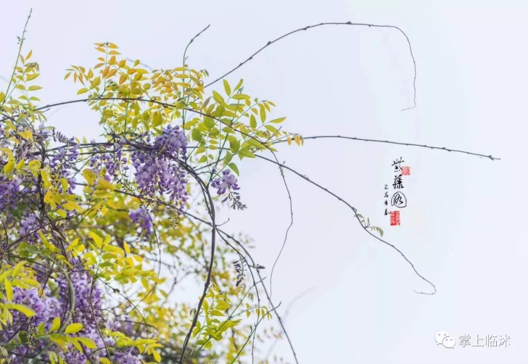 航拍最美临沭,临沭最美风景