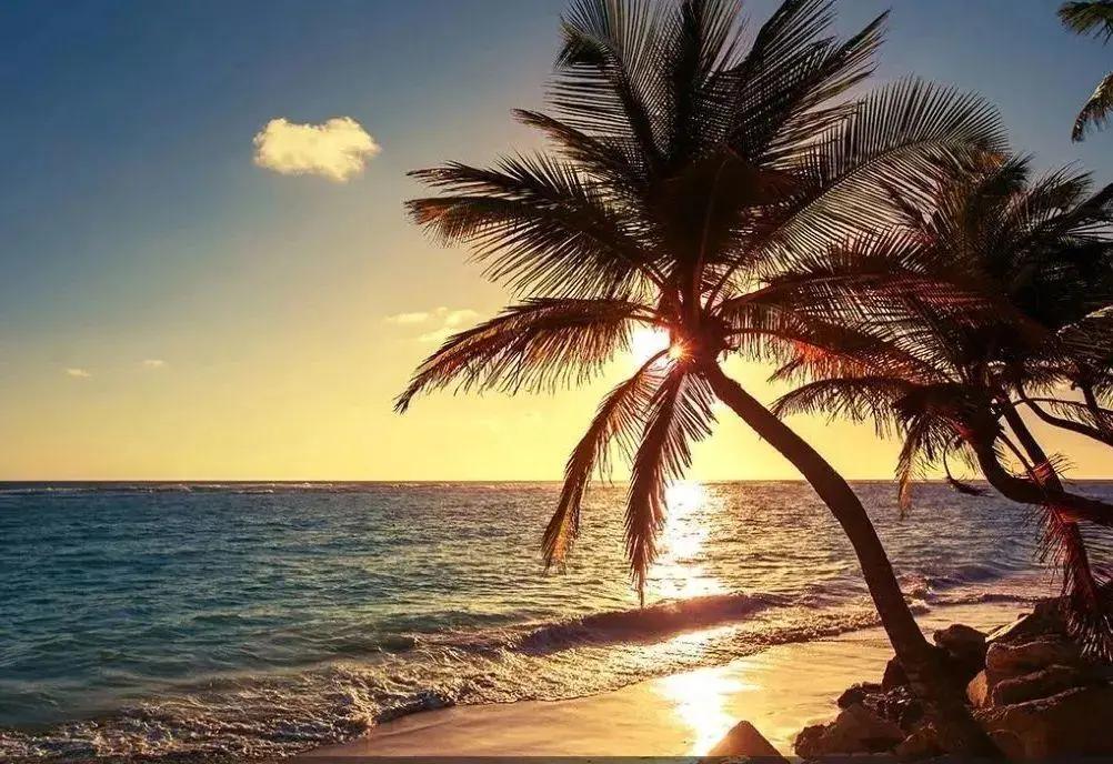 中喜酒业:带上一瓶葡萄酒去旅行,让快乐加倍