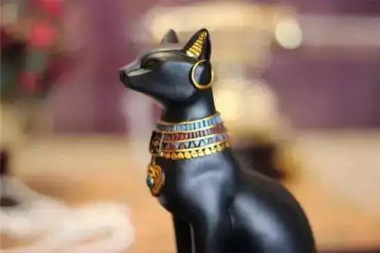 马未都的古董不犯法吗,马未都200元买的价值上亿的古董