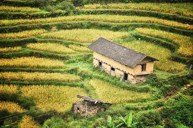 韶关丹霞梯田图片,韶关旅游梯田攻略图片