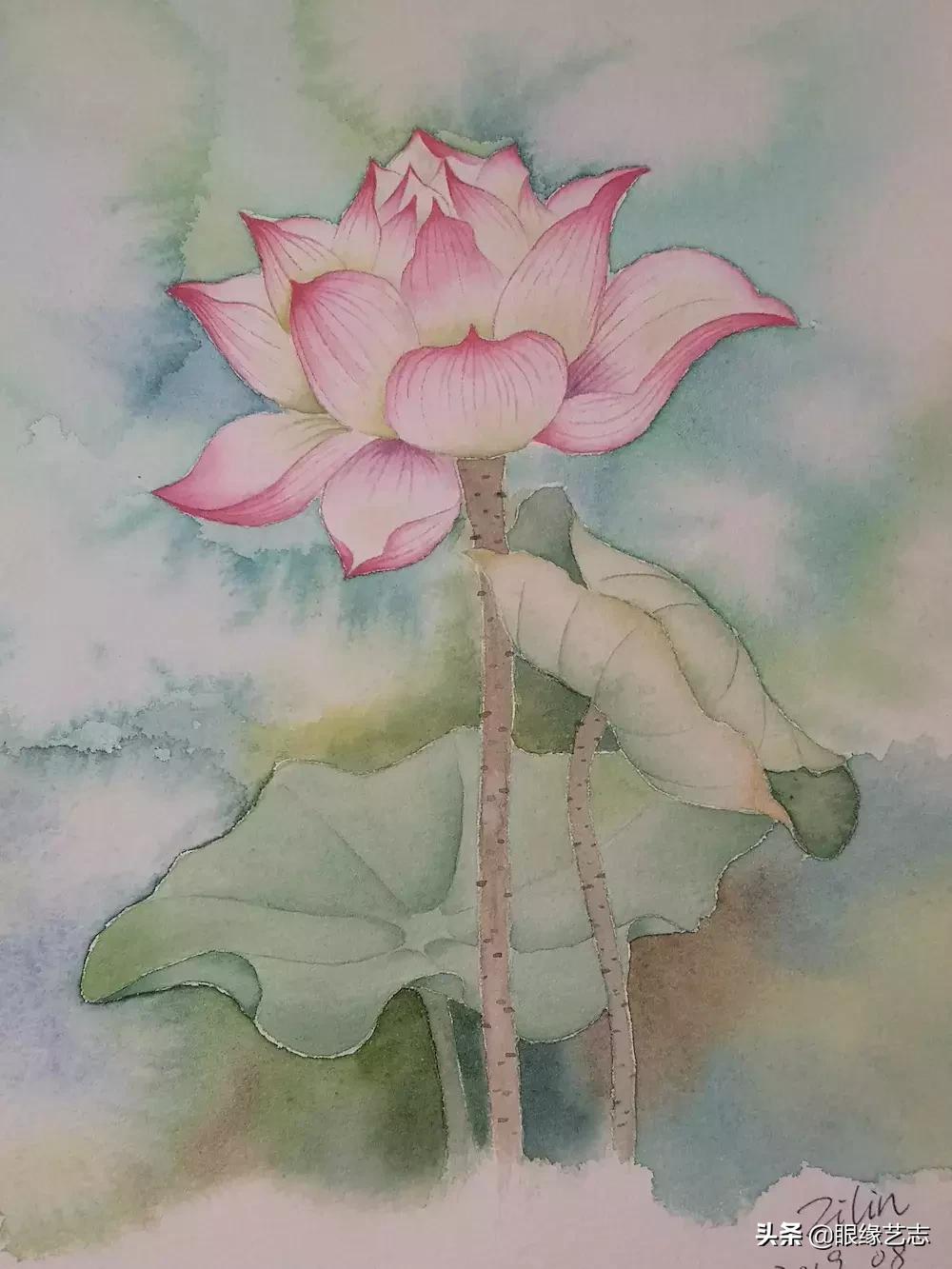 水彩莲花画法教程,白色荷花水彩画法教程