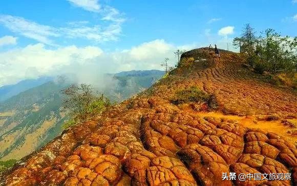 云南又在央视火了！这份云南2019新简历要藏不住了！