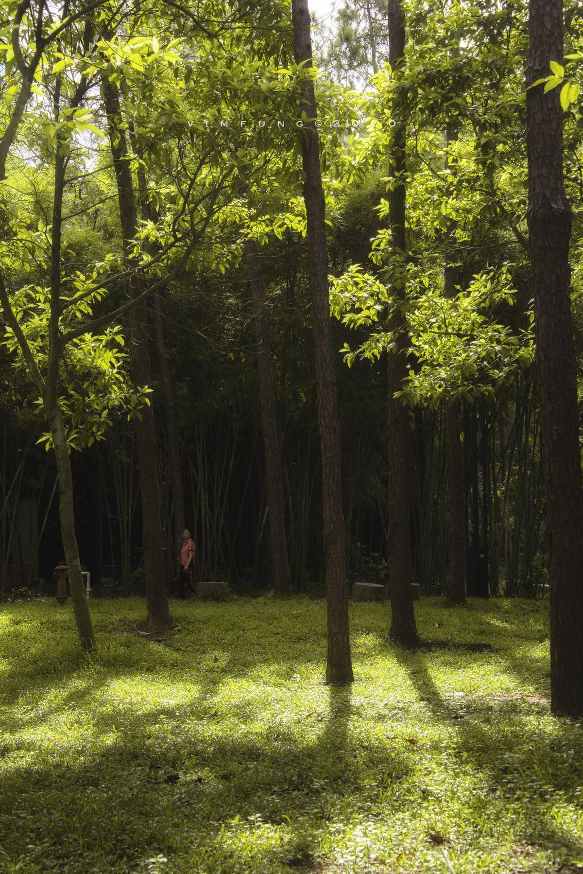 心眼最多但是从不耍心机的星座,性格多变总是让人难以捉摸的星座