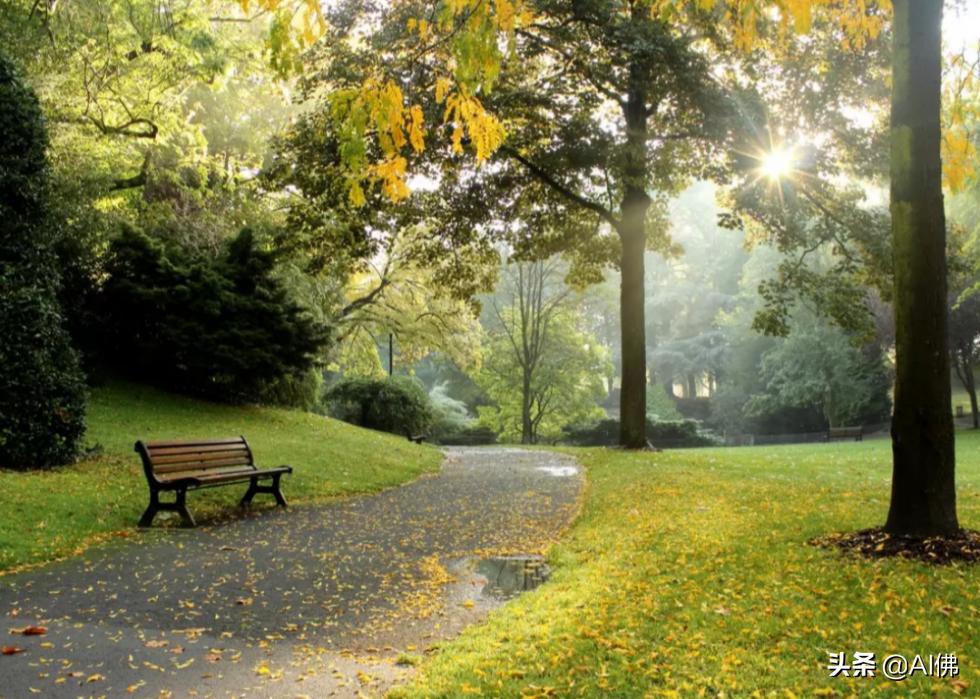 美国各州最富有的镇,美国所有城市最富的是哪个城市